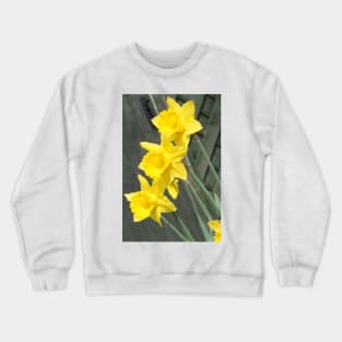 Yellow Daffodils Crewneck Sweatshirt